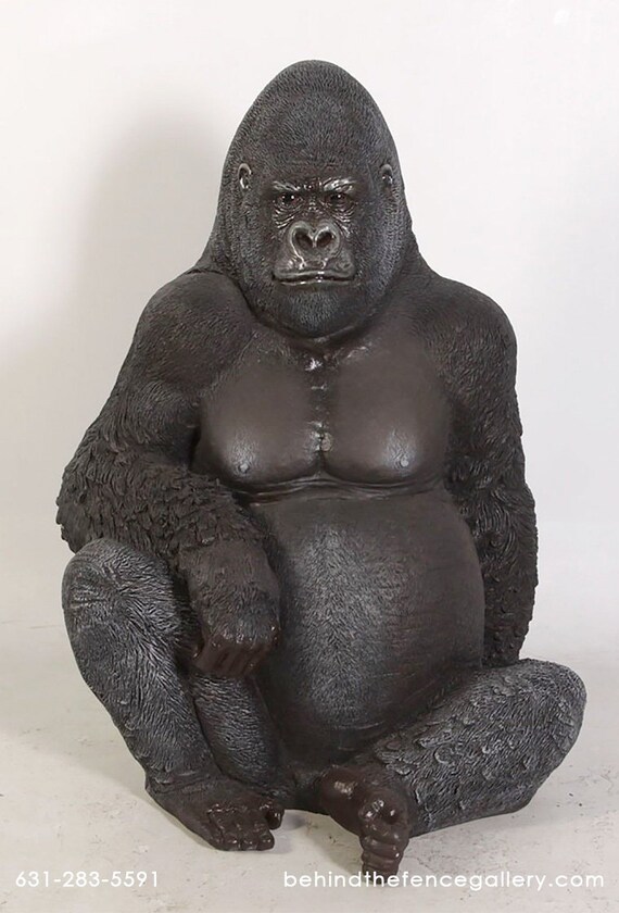 silverback gorilla lifespan silverback gorilla lifespan