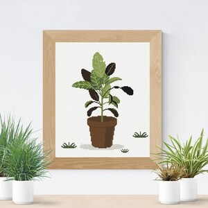 May include: A framed illustration of a potted plant with green leaves and brown stems. The plant is in a brown pot and is sitting on a white surface. There are two small green plants in white pots on either side of the framed illustration.
