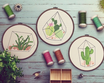 Set of 3 Cactus cross stitch patterns, florarirums with succulents: 3 embroidery patterns PDF