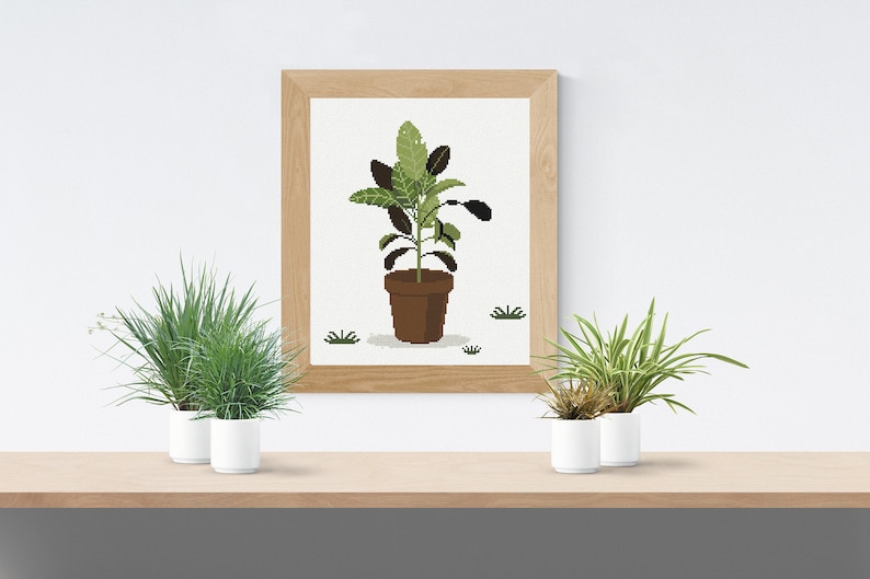 floral crossstitch pattern with a home plant Ficus in the flowerpot cross stitch pattern PDF