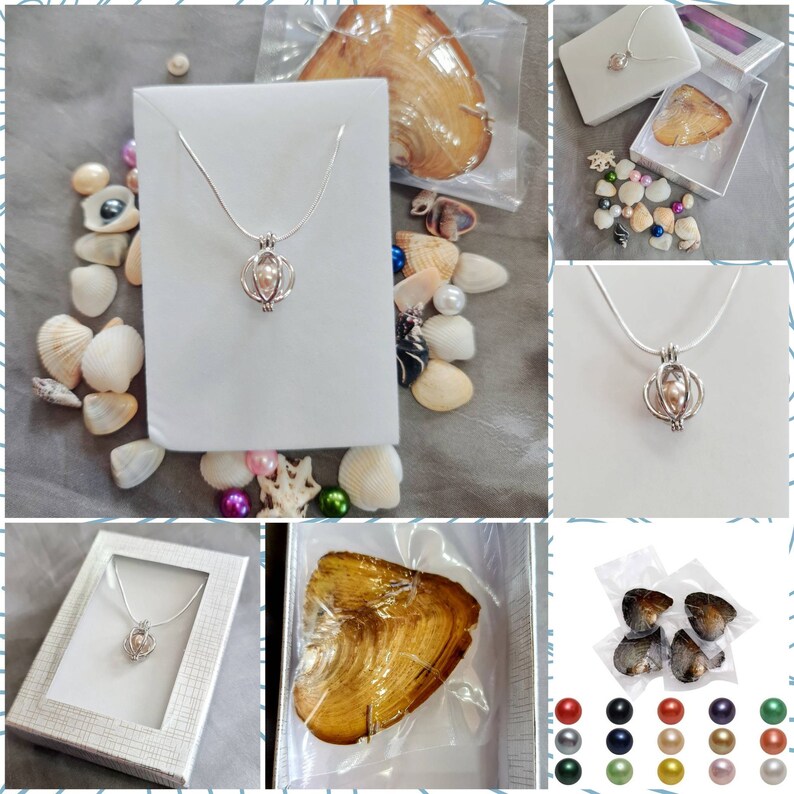Oyster Pearl Discovery Gift Set Wish Pearl Necklace Gift Set Etsy