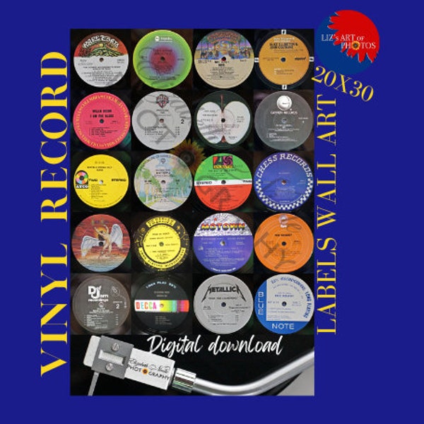 Vinyl Record Labels 20x30 Digital Print