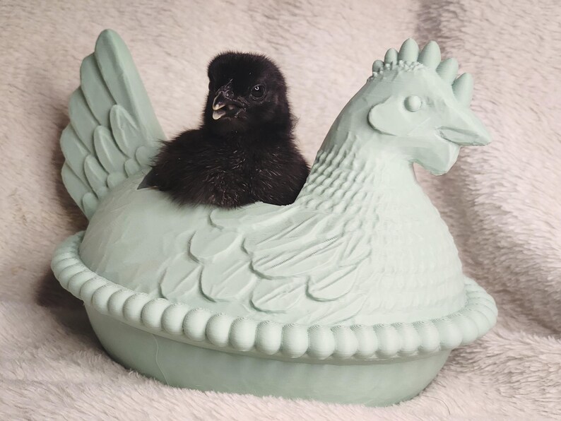 Puede incluir: Un pollito negro se encuentra dentro de un recipiente en forma de gallina de color verde claro. El recipiente presenta un dise&ntilde;o detallado, incluyendo alas, cresta y borde con cuentas. El pollito es esponjoso y oscuro, contrastando con el recipiente pastel.