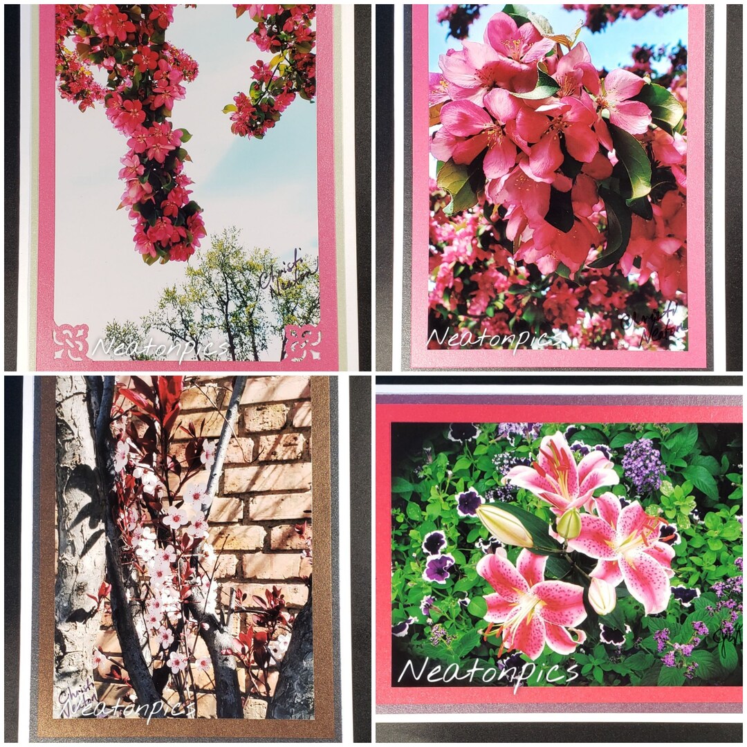 Spring Collection - Handmade Photo Greeting Cards - 5X7 Blank - Any ...
