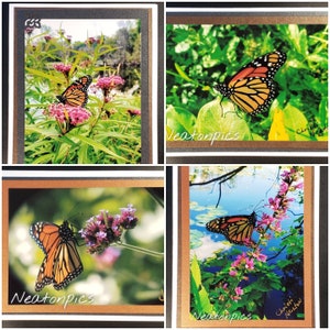 Monarch Collection - Handmade Photo Greeting Cards - 5X7 Blank - Any Occasion - Gift Set