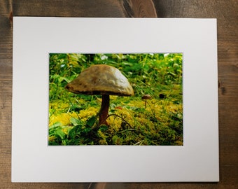 Other Worldly View - North Shore - Lake Superior - Minnesota -5X7 Photograph secured to an 8X10 Mat with backboard