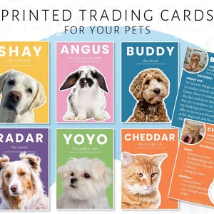 Pet Trading Cards, Colorful Custom Made Dog, Cat, Rabbit, Horse Personalized Printed Shipped to You, for dog park, visits, pet friends