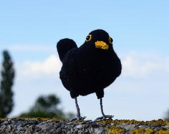 Amsel | Amsel | Häkelmuster | Häkelmuster