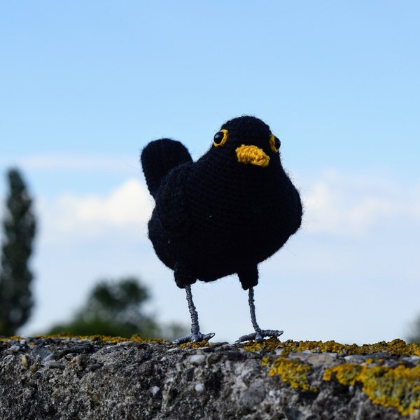 Amsel | Amsel | Häkelmuster | Häkelmuster