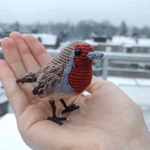 Könnte beinhalten: Ein gehäkeltes Vogel mit roter Brust, grauen Flügeln und einem beigefarbenen Kopf. Der Vogel hat schwarze Augen und einen blauen Schnabel. Der Vogel wird in einer Hand gehalten, mit verschneitem Hintergrund.