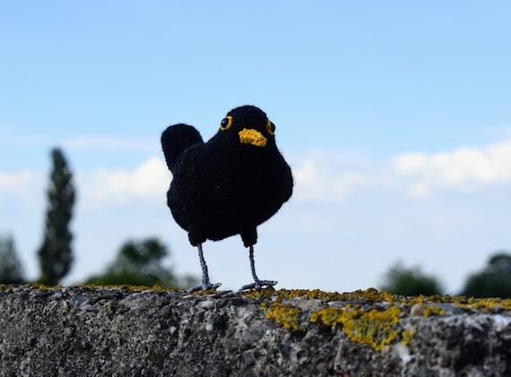 Blackbird | Blackbird | Crochetpattern | Crochet Pattern - Etsy