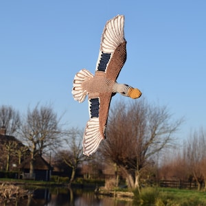 Op de afbeelding: Een bruine en witte gehaakte eend met een gele snavel vliegt in de lucht tegen een blauwe lucht. De eend bevindt zich in een veld met bomen en een vijver op de achtergrond.