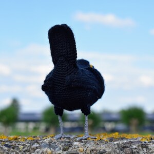 Koltrast | Merel | Virkmönster | Virkmönster bild 4