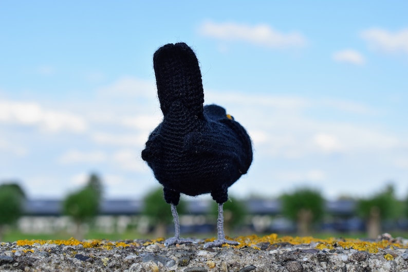 Koltrast | Merel | Virkmönster | Virkmönster bild 4