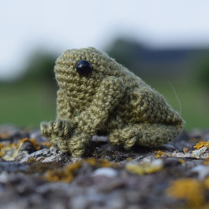 Frosch US | Frosch NL | Häkelmuster | Häkelmuster | Hol mich ab
