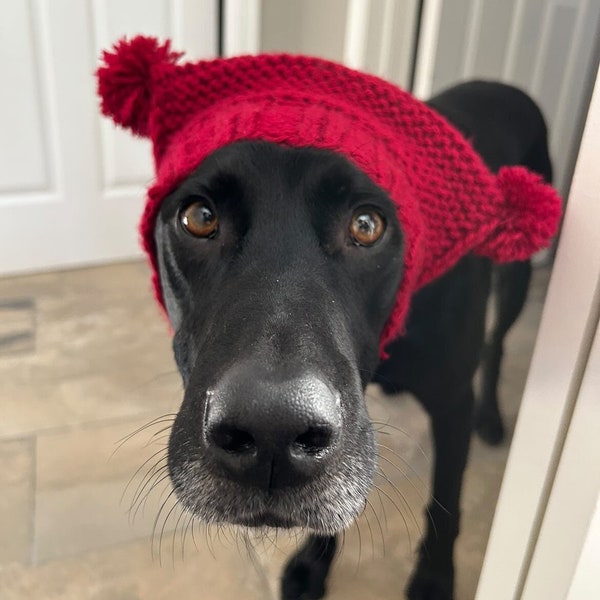 Hundemütze aus Wolle mit Hörnern und Bommel für kleine Hunde - Hundemütze handgestrickt für mittelgroße Hunde - Hundemütze mit Bommel