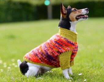 Handknitted melange dog sweater in wool for small dogs  - handmade melange wool dog jumper for medium dogs