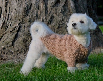 May include: A small white dog wearing a brown knitted sweater stands in front of a tree trunk. The dog is looking to the right of the frame.
