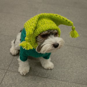 Handmade wool hat with horns and tassels for small dogs - handknitted dog beanie for medium dogs - handmade wool dog beanie for large dogs