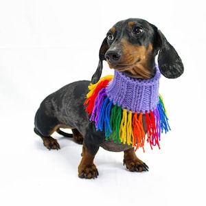 Dog bandana in rainbow - dog scarf - pet bandana - dog gift - dog mom gift - pet accessories - pet clothes- pet supplies