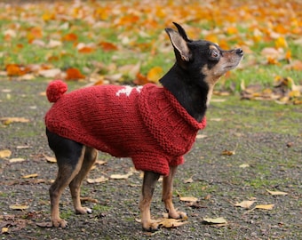 handmade dog sweater - handknitted dog sweater - wool dog sweater - dog jumper - trendy dog sweater- trendy dog jumper - pompom dog jumper