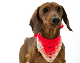 Crochet dog scarf - crocheted dog bandana - pet scarf - pet bandana - dog gift - dog mom gift - pet accessories - pet clothes- dog supplies