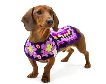 Handmade dog sweater for small dogs - handknitted dog jumper for medium dogs - wool dog sweater with turtleneck - dog jumper for large dogs