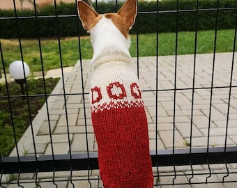 Wool dog jumper- handmade dog jumper - handknitted wool dog sweater - wool dog sweater- small dog sweater - wool dog knitwear - dog jumper