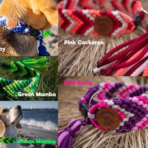 Handbraided vegan paracord ID tag dog collar with tassels Custom colorful handmade house collar with tassesl Customize your colours image 3