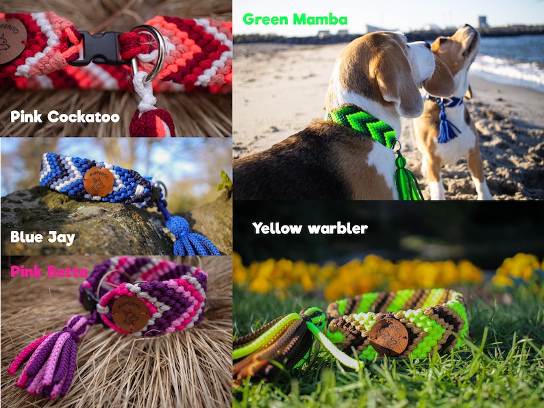 Handbraided vegan paracord ID tag dog collar with tassels Custom colorful handmade house collar with tassesl Customize your colours image 4