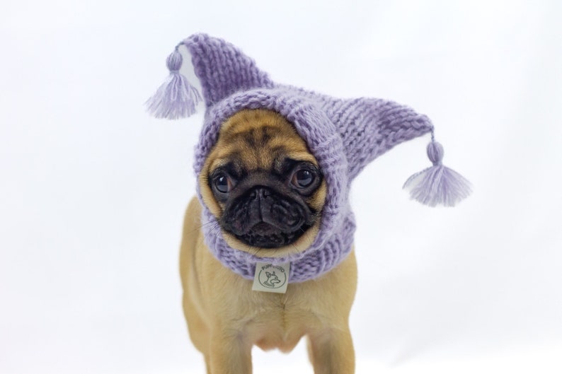 Bonnet en laine fait main avec cornes et glands pour petits chiens bonnet pour chien tricoté main pour chien de taille moyenne bonnet en laine fait main pour chien de grande taille Light Lavender