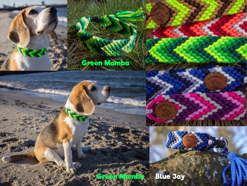 Handbraided vegan paracord ID tag dog collar with tassels Custom colorful handmade house collar with tassesl Customize your colours image 6