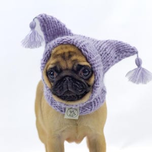 Handmade wool hat with horns and tassels for small dogs - handknitted dog beanie for medium dogs - handmade wool dog beanie for large dogs