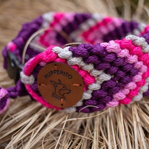 Handbraided vegan paracord ID tag dog collar with tassels Custom colorful handmade house collar with tassesl Customize your colours Pink Betta