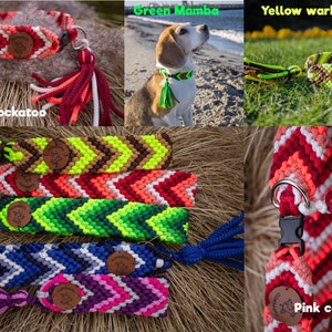 Handbraided vegan paracord ID tag dog collar with tassels Custom colorful handmade house collar with tassesl Customize your colours image 5