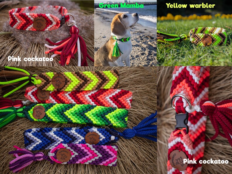 Handbraided vegan paracord ID tag dog collar with tassels Custom colorful handmade house collar with tassesl Customize your colours image 5