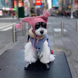Handmade wool hat with horns and tassels for small dogs - handknitted dog beanie for medium dogs - handmade wool dog beanie for large dogs