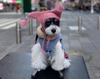 Handmade wool hat with horns and tassels for small dogs - handknitted dog beanie for medium dogs - handmade wool dog beanie for large dogs