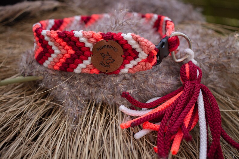 Handbraided vegan paracord ID tag dog collar with tassels Custom colorful handmade house collar with tassesl Customize your colours Pin Cockatoo