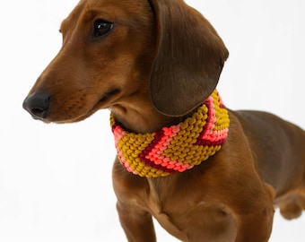Puede incluir: Un dachshund marrón con un collar tejido para perros de color amarillo, rosa y rojo.