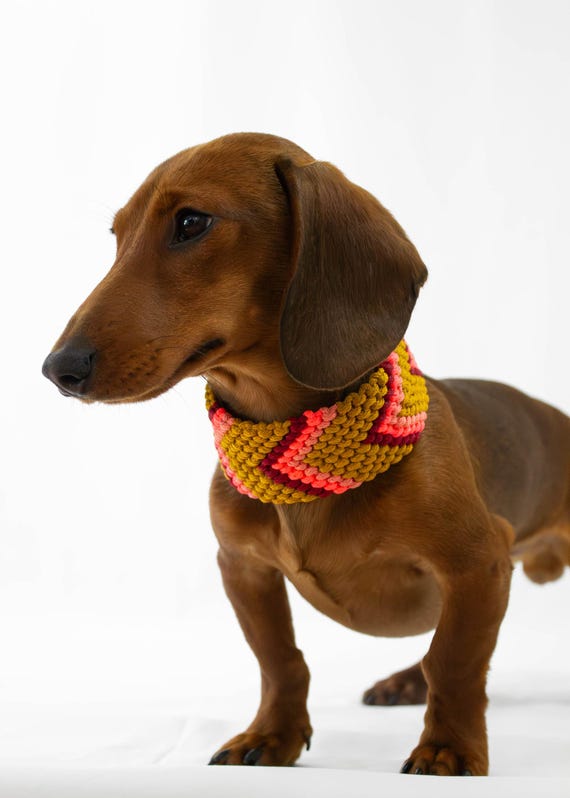 Paracord dog collar - Handmade pet collar - Braided dog collar - pet accessories - custom durable dog collar- gift for dog - dog lover gift