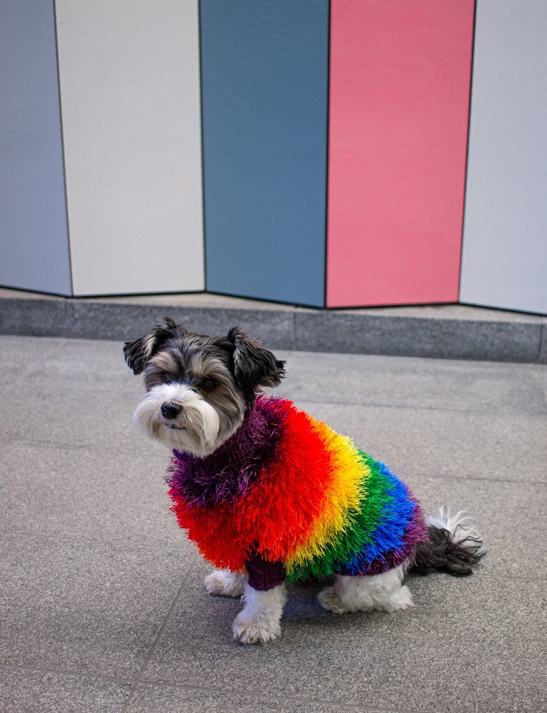 Handmade Fluffy Dog Jumper in Rainbow Colors for Small Dogs, Handknitted  Faux Fur Rainbow Dog Jumper for Medium Dogs, Pride Dog Sweater