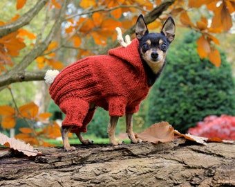 Handmade Christmas dog sweater- dog jumpsuit - handmade dog costume - holiday dog coat - handknitted dog costume