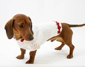 Dog sweater - Crochet dog sweater - hand-knit dog jumper - dog clothes - pet clothing - gift for dogs - gift for dog lover - dog costume
