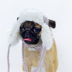 Può includere: Un cucciolo di carlino che indossa un cappello di pelliccia bianco e grigio con un lungo bordo soffice. Il cucciolo guarda la telecamera con la lingua di fuori.