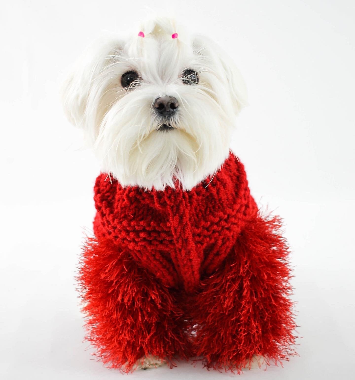 Handmade dog sweater with fluffy arms Fluffy dog sweater Etsy