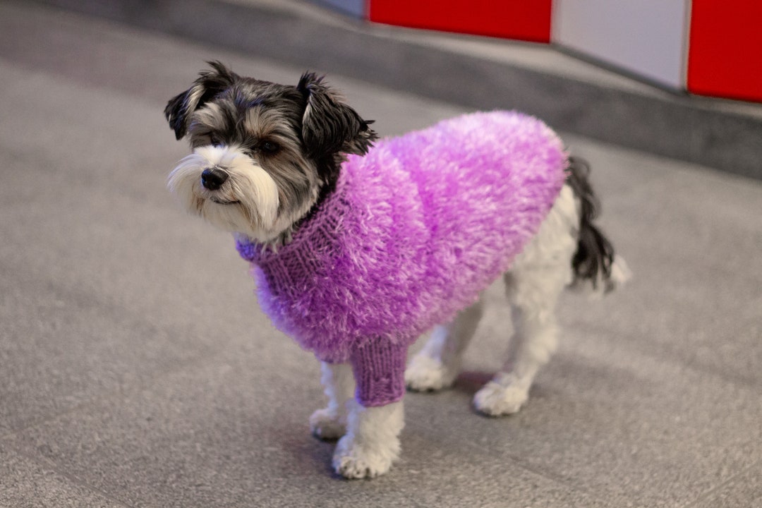 Paws Circle Boney Monogram Dog Cardigan