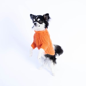Handmade wool orange cable knit sweater for small dogs  - handknitted orange wool jumper for small dogs