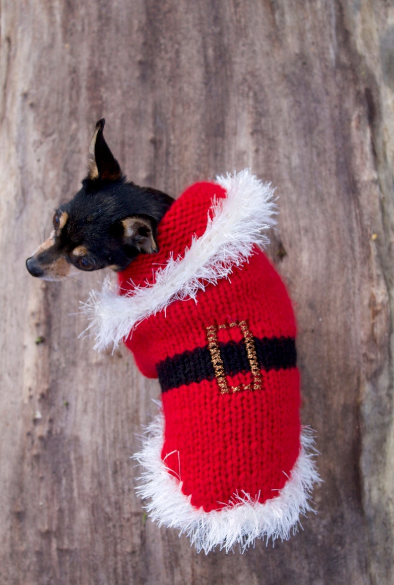 Handmade woolly Christmas dog sweater for small dogs Handknitted Christmas jumper for medium dogs Handknitted Christmas dog costume image 1