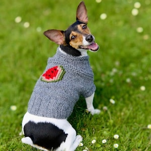 Handknitted woolen dog sweater with watermelon for small dogs- Handmade woolly dog jumper with watermelon for medium dogs